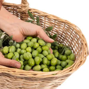 Zeytin 3