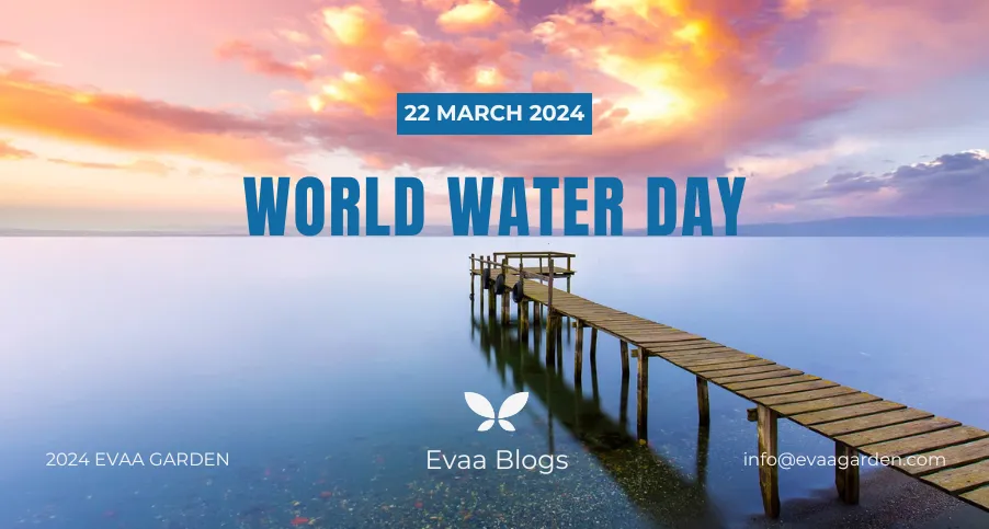 The Importance of Water Conservation on World Water Day | Evaa Garden