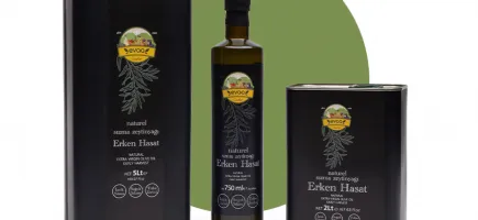 Essence of Early Harvest Olive Oil: A Healthier Lifestyle