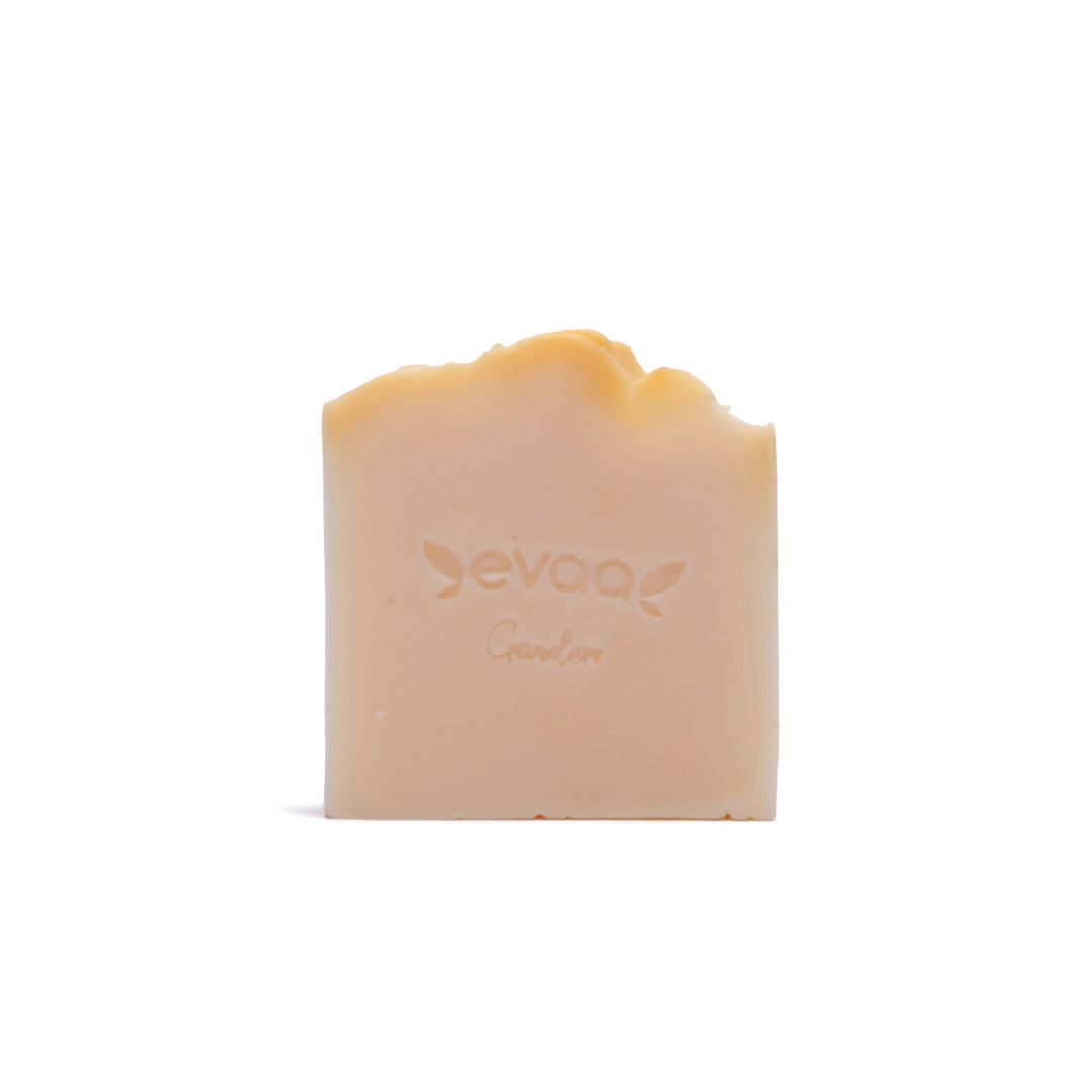Olive Oil SOAP_Open