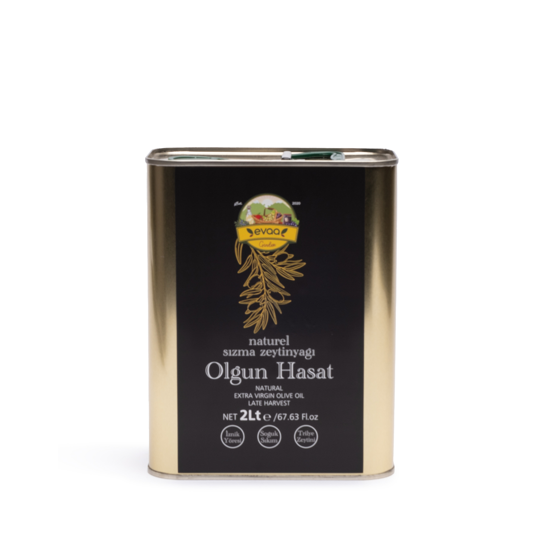 Naturel Sızma Zeytinyağı Olgun Hasat