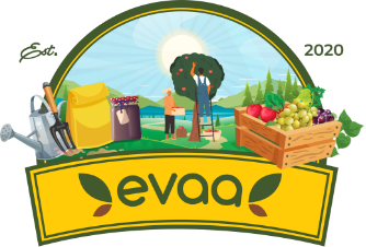 Main Page