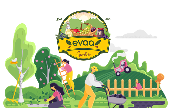 Eva Garden